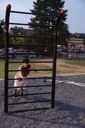 Zeige Details für MoveStrong Stall Bars - Outdoor Equipment Bild von MoveStrong Stall Bars - Outdoor Equipment