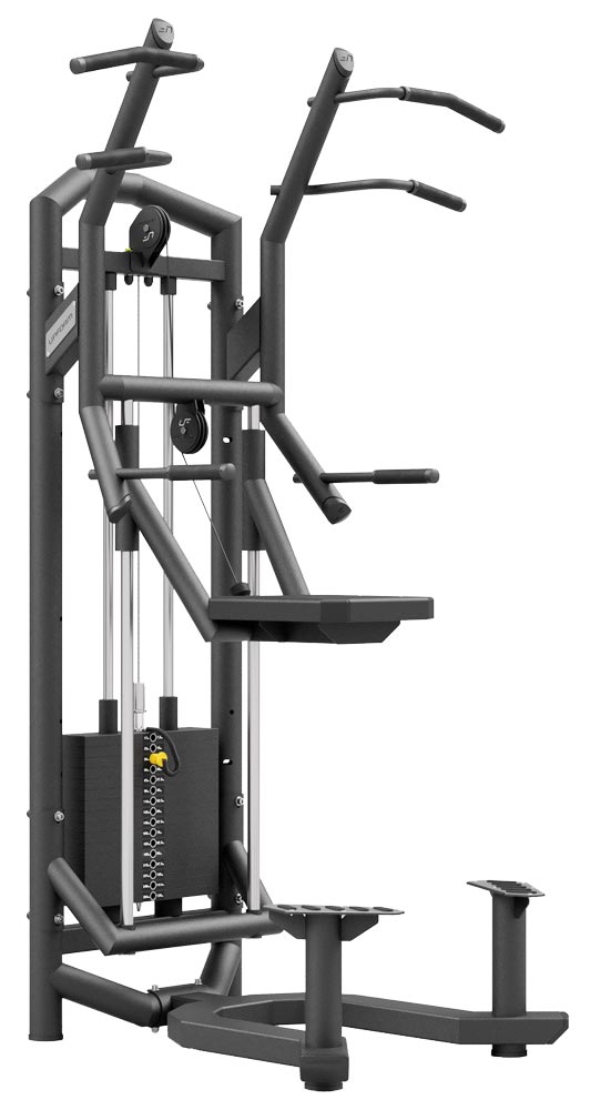 Bild von UpForm F-line - Assisted Chin / Dip Station