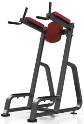 Bild von MARBO SPORT MP-U202 - Dip-Bauchtrainer Station