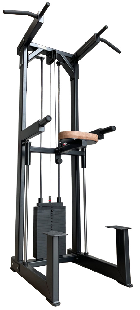 Bild von Watson Assisted Chin und Dip