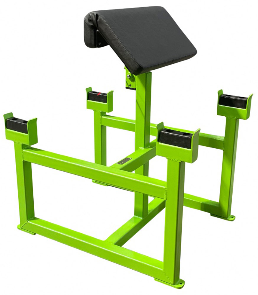 Bild von Watson Double Sided Preacher Curl Bench
