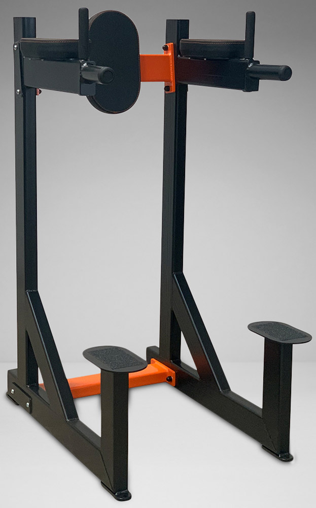 Bild von Watson Freestanding Dip / Leg Raise