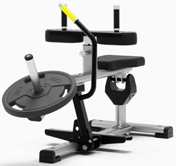 Zeige Details für Exigo Seated Calf Raise  Bild von Exigo Seated Calf Raise