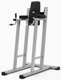 Zeige Details für Exigo Leg Raise / Dip Station Bild von Exigo Leg Raise / Dip Station